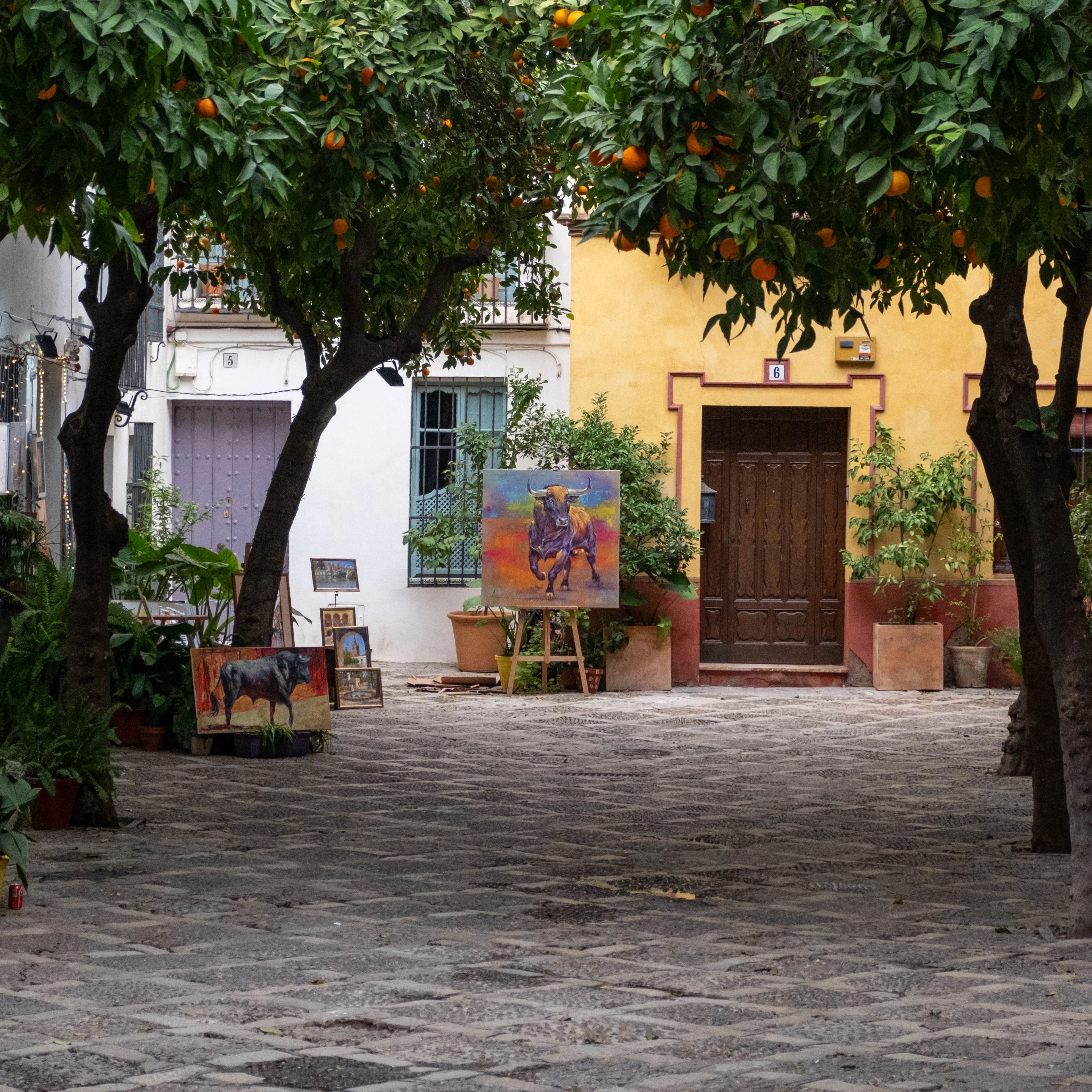39mm · f/4 · 1/800s · ISO 800
FUJIFILM X-T5 · XF18-55mmF2.8-4 R LM OIS · Dec 29, 2023
Cobblestone courtyard with orange trees and bull paintings.
Seville, Spain
© Brandon Cook