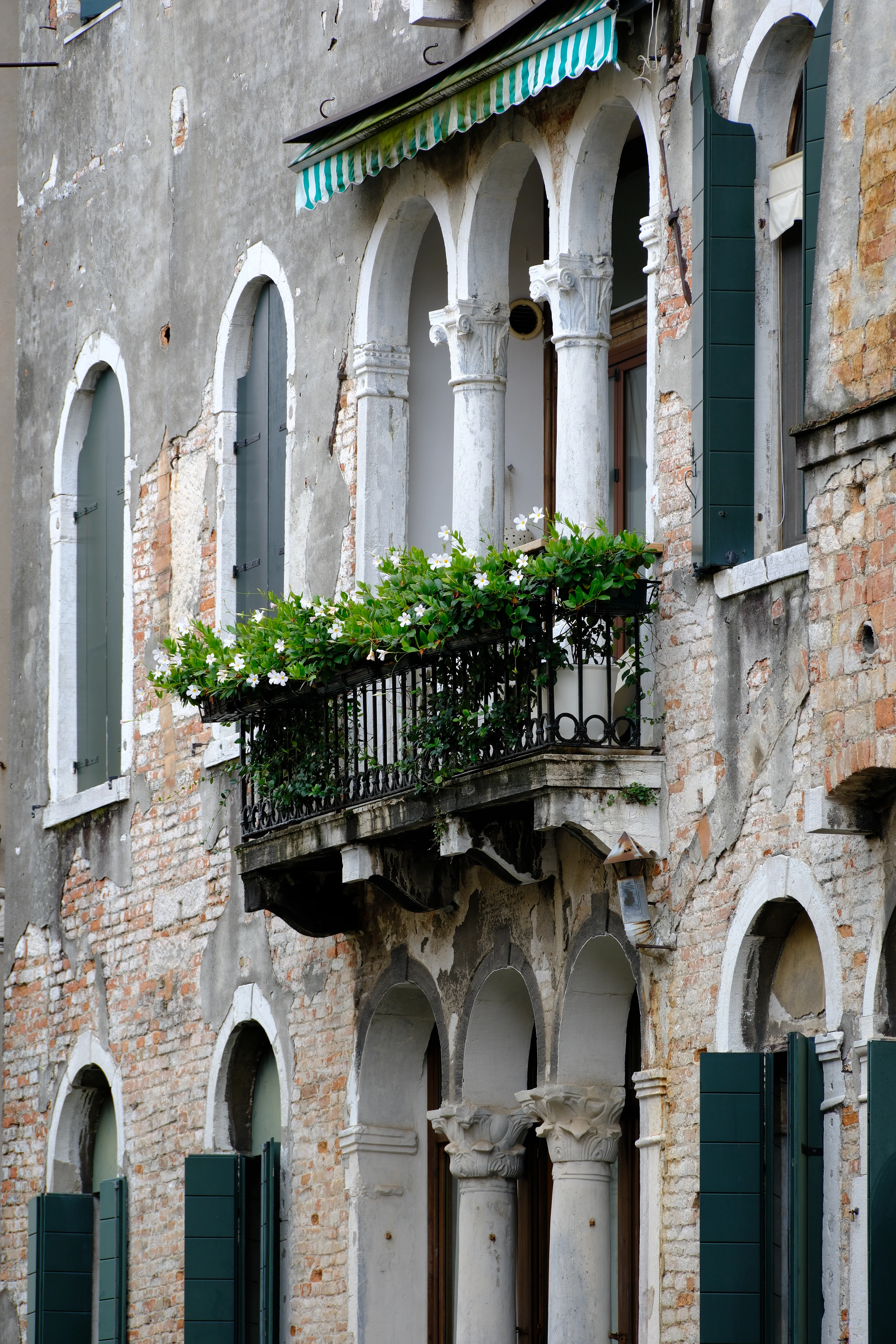 137mm · f/5 · 1/125s · ISO 160
FUJIFILM X-T5 · XF70-300mmF4-5.6 R LM OIS WR · Oct 19, 2024
Arched windows and flowering balcony on a weathered Venetian facade.
Venice, Italy
© Brandon Cook