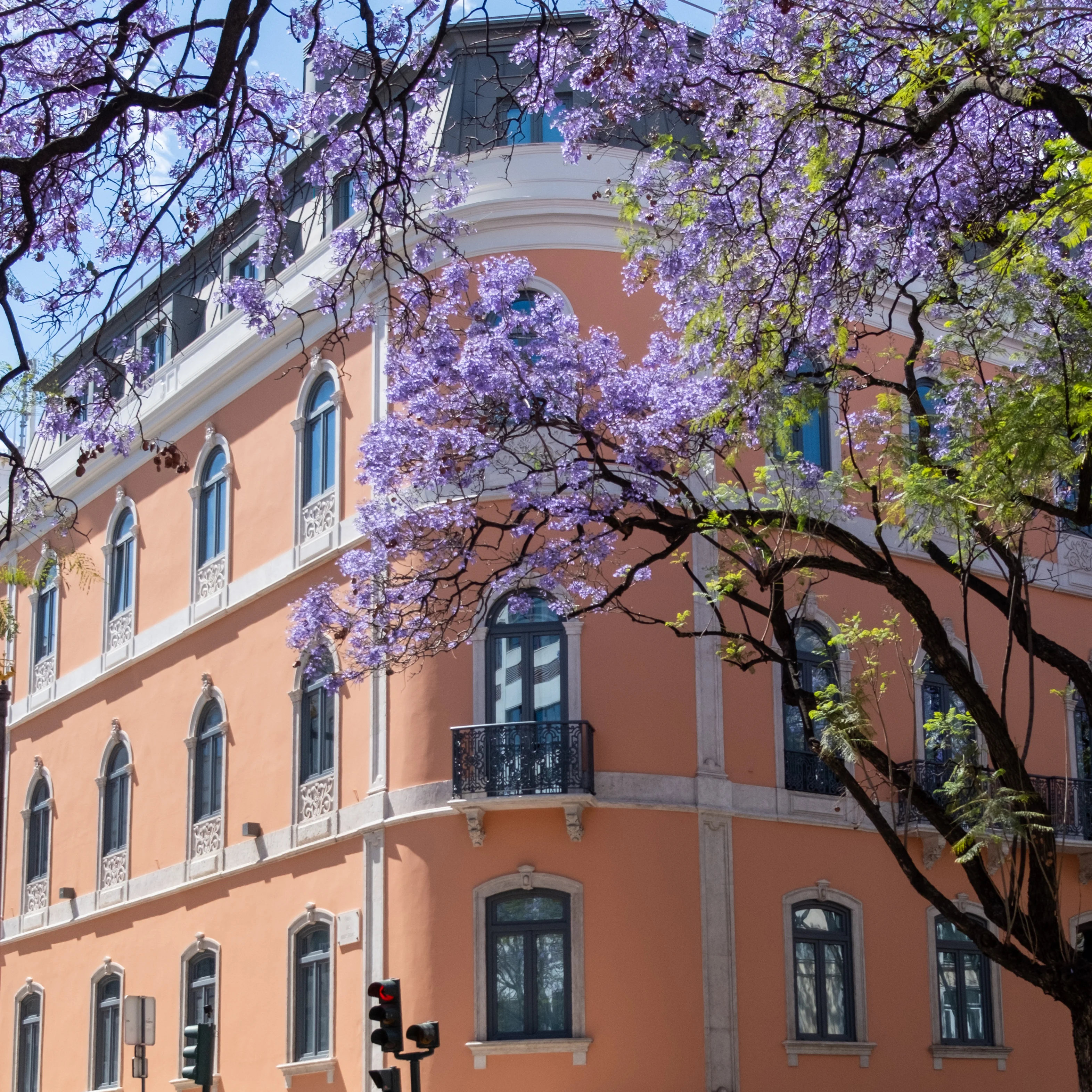 18mm · f/2.8 · 1/2000s · ISO 200
FUJIFILM X-T5 · XF18-55mmF2.8-4 R LM OIS · May 12, 2024
Purple jacarandas bloom beside a peach building in Lisbon, Portugal.
Lisbon, Portugal
© Brandon Cook