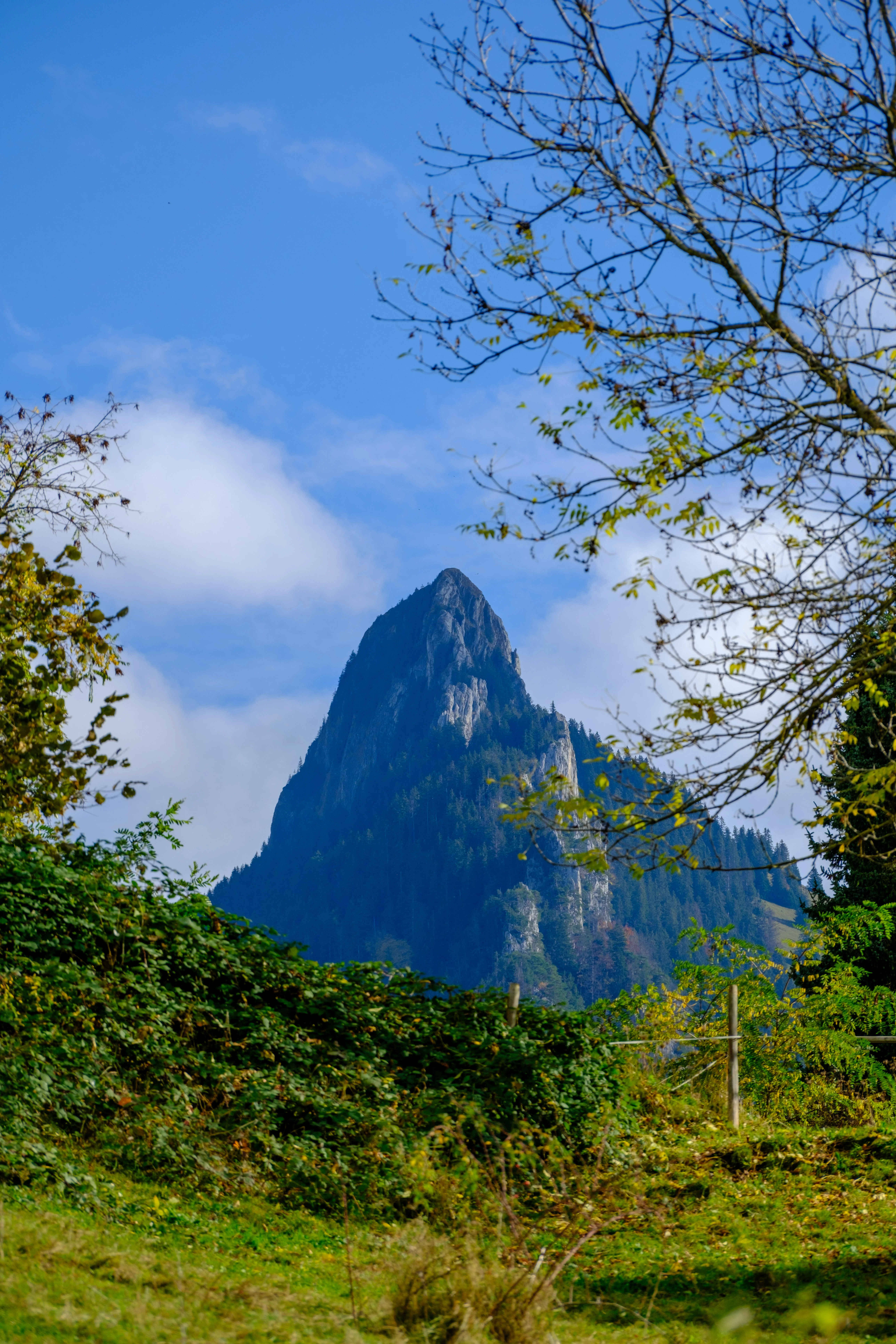132mm · f/5 · 1/750s · ISO 125
FUJIFILM X-T5 · XF70-300mmF4-5.6 R LM OIS WR · Oct 22, 2024
Sharp mountain peak in Gruyères, Switzerland, framed by foliage.
Gruyères, Switzerland
© Brandon Cook