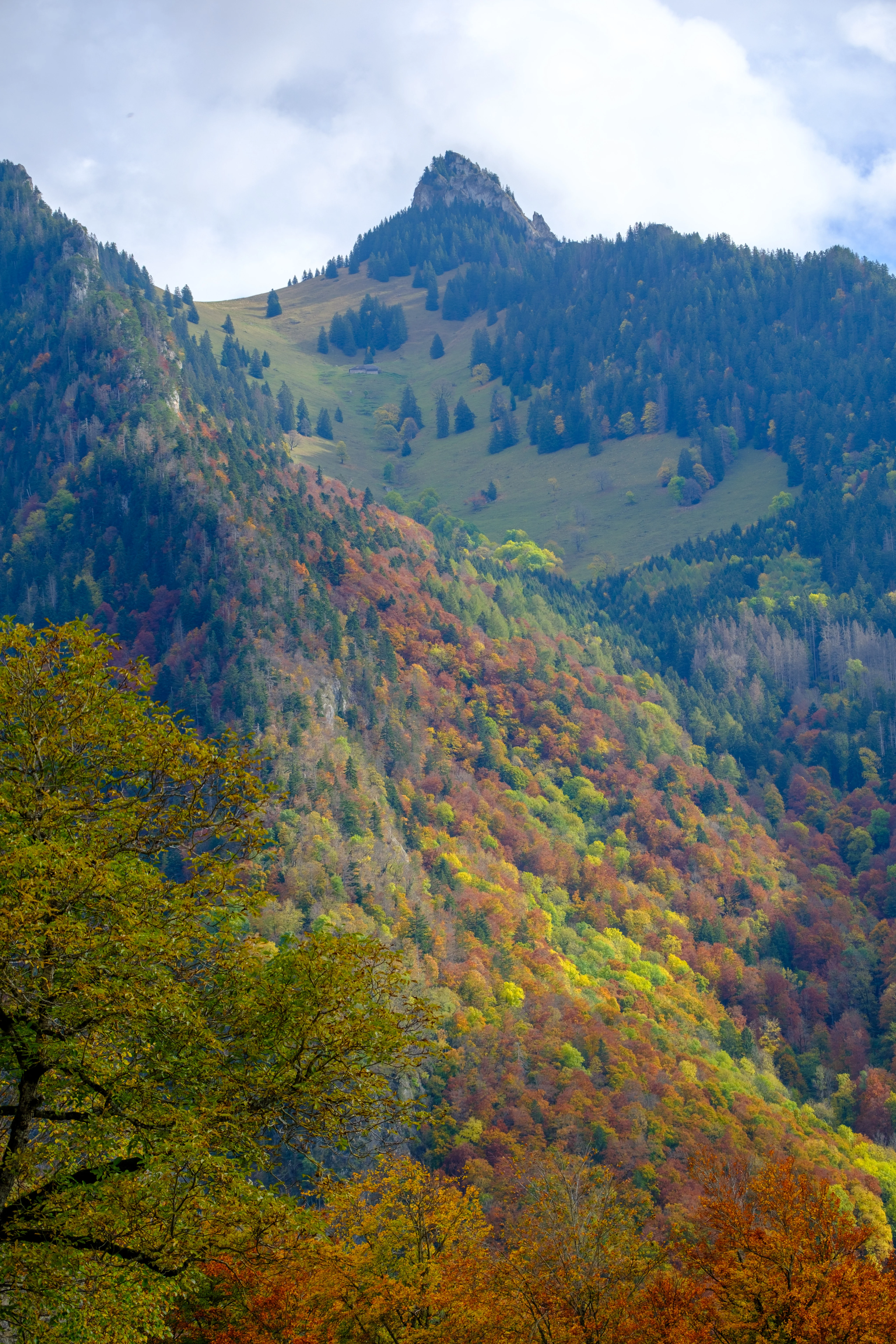 70mm · f/4 · 1/950s · ISO 125
FUJIFILM X-T5 · XF70-300mmF4-5.6 R LM OIS WR · Oct 22, 2024
Vibrant autumn foliage on a steep mountain in Gruyères, Switzerland.
Gruyères, Switzerland
© Brandon Cook