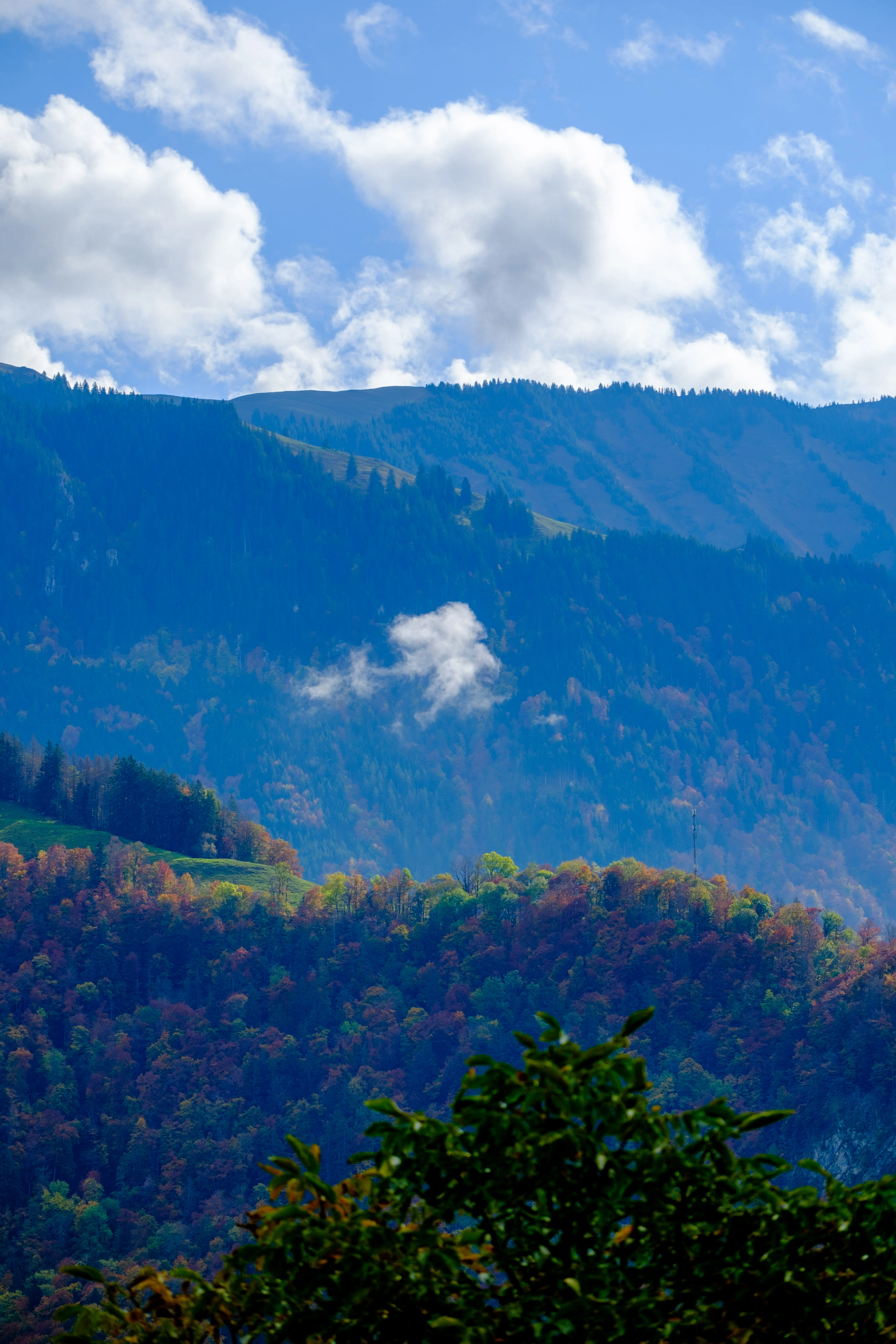 70mm · f/4 · 1/2000s · ISO 125
FUJIFILM X-T5 · XF70-300mmF4-5.6 R LM OIS WR · Oct 22, 2024
Colorful autumn trees on layered Swiss mountains under blue sky.
Gruyères, Switzerland
© Brandon Cook