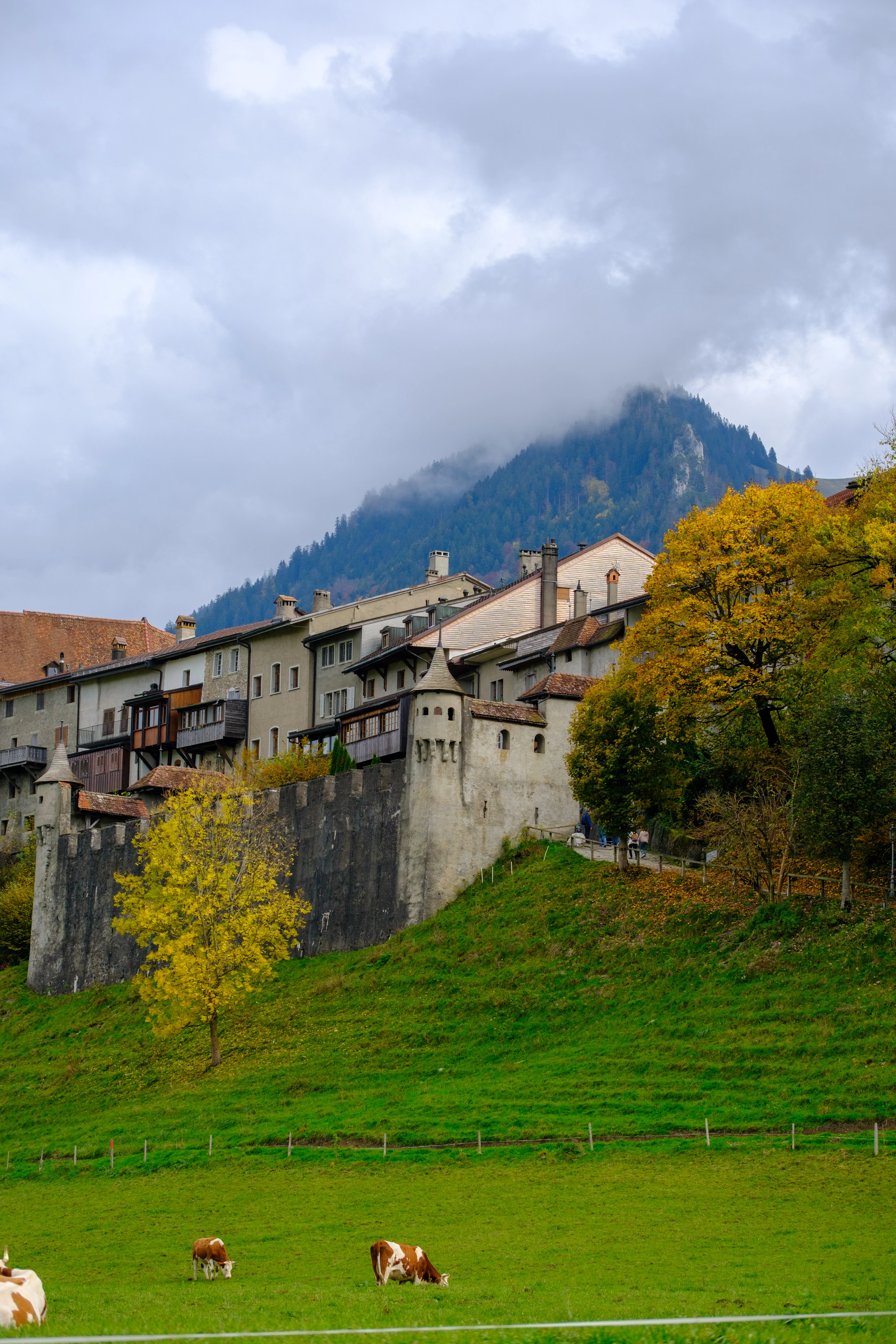 70mm · f/4 · 1/680s · ISO 125
FUJIFILM X-T5 · XF70-300mmF4-5.6 R LM OIS WR · Oct 22, 2024
Cows grazing near the medieval walls of Gruyères, Switzerland.
Gruyères, Switzerland
© Brandon Cook