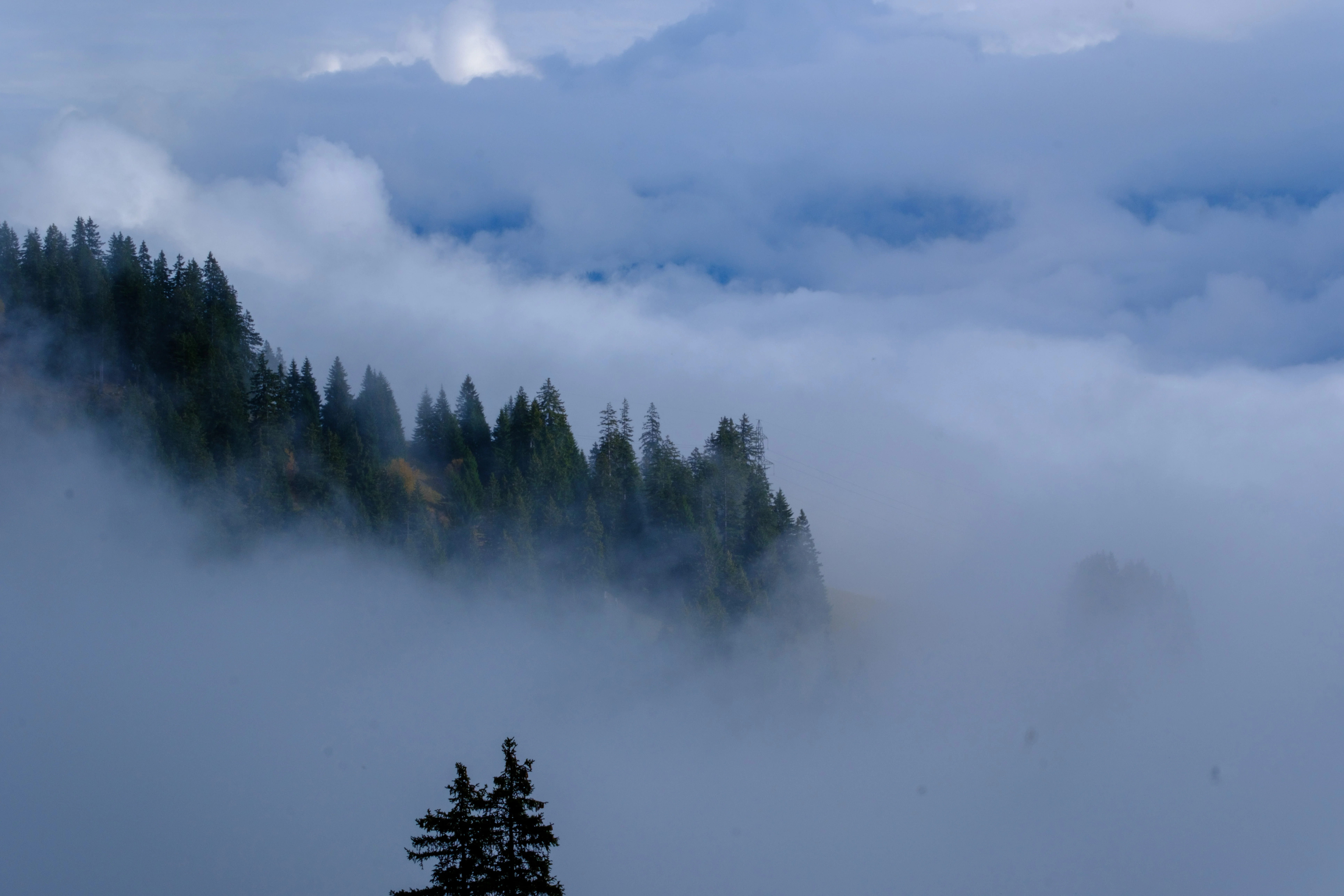 70mm · f/22 · 1/125s · ISO 250
FUJIFILM X-T5 · XF70-300mmF4-5.6 R LM OIS WR · Oct 23, 2024
Pine trees shrouded in thick fog in Saanen, Switzerland.
Saanen, Switzerland
© Brandon Cook