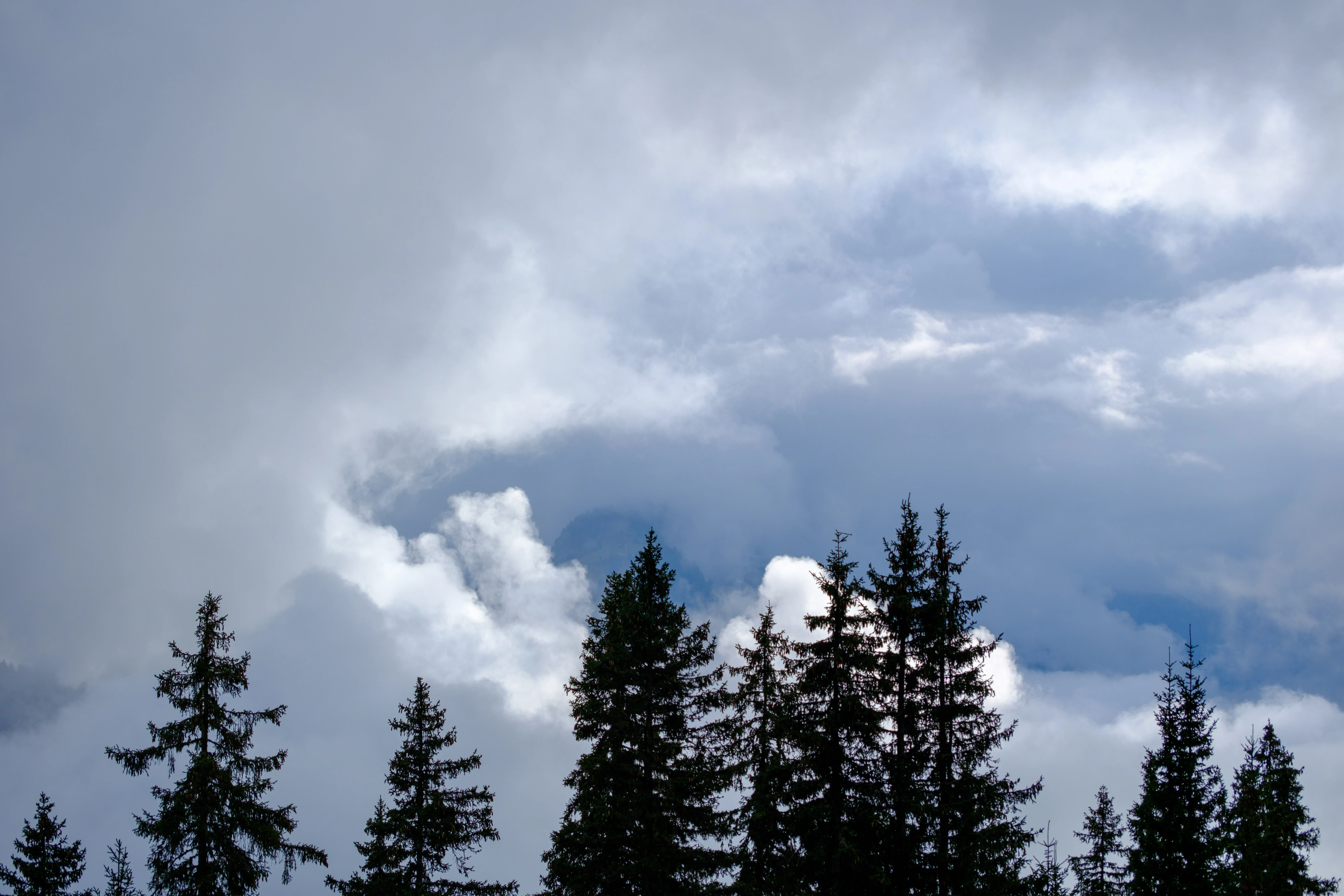 70mm · f/4 · 1/2700s · ISO 125
FUJIFILM X-T5 · XF70-300mmF4-5.6 R LM OIS WR · Oct 23, 2024
Evergreen trees silhouetted against a dramatic, cloudy mountain sky.
Saanen, Switzerland
© Brandon Cook