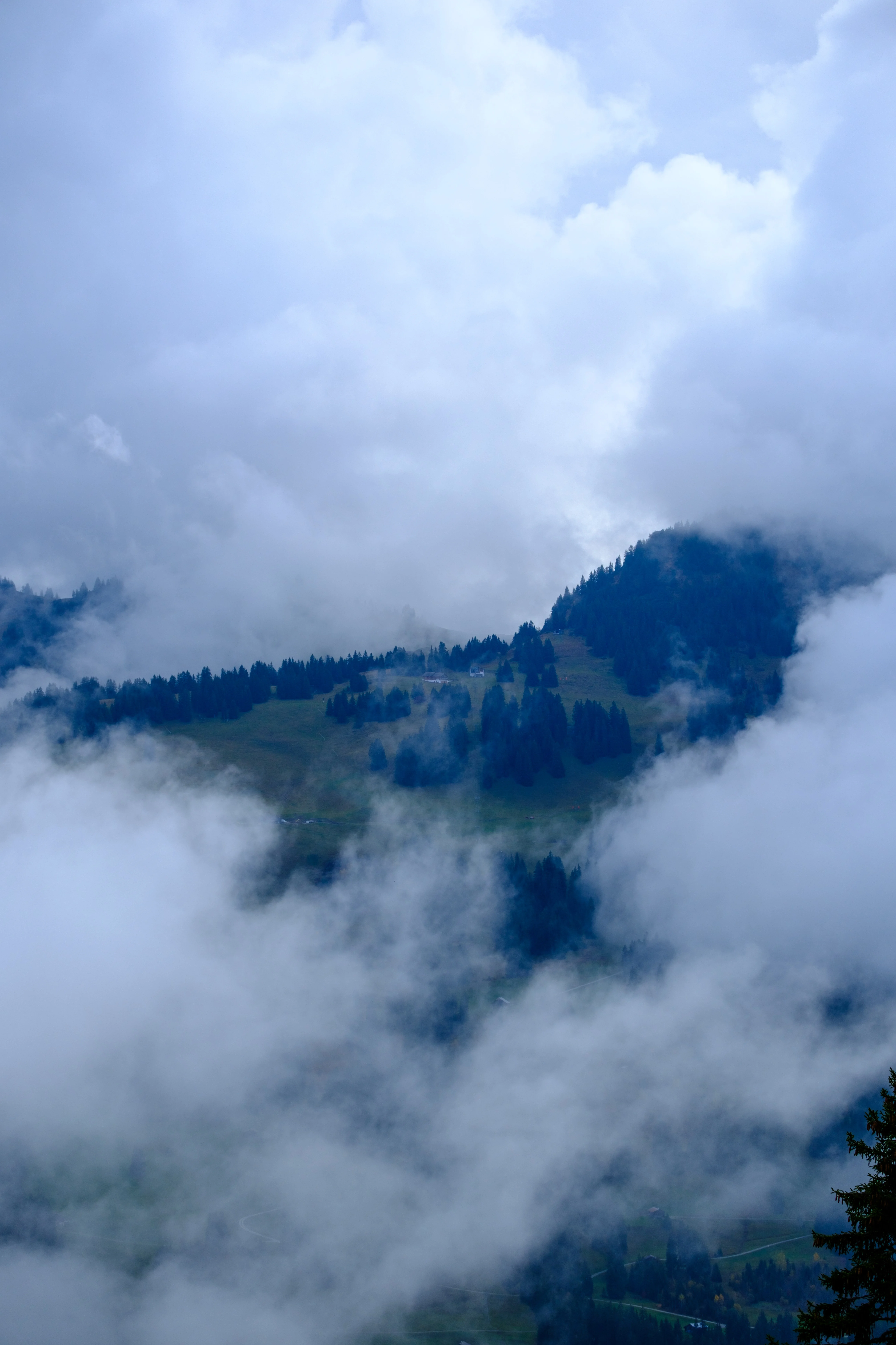 70mm · f/4.5 · 1/1250s · ISO 125
FUJIFILM X-T5 · XF70-300mmF4-5.6 R LM OIS WR · Oct 23, 2024
Misty mountains and dense clouds over forests in Saanen, Switzerland.
Saanen, Switzerland
© Brandon Cook