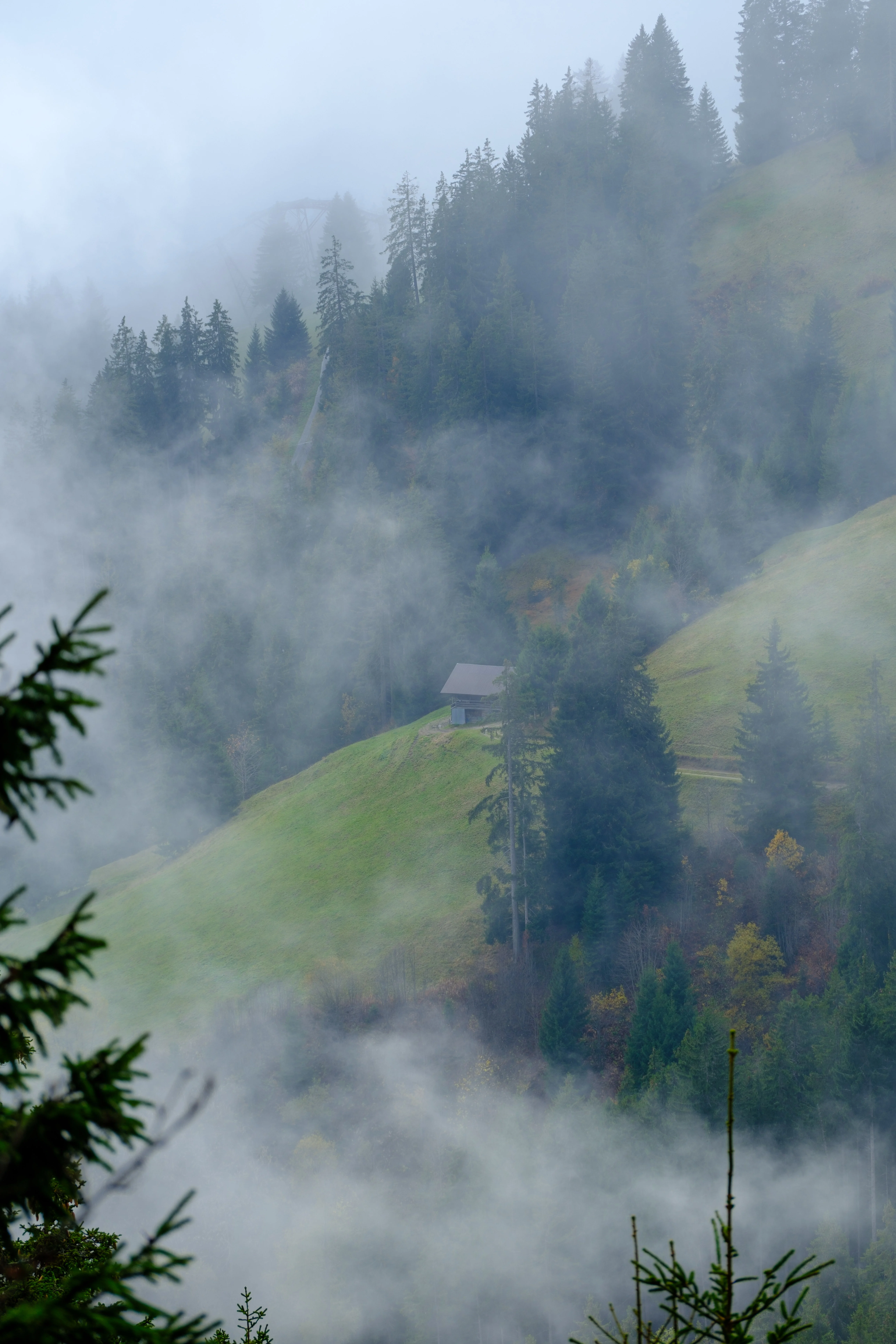 114mm · f/5 · 1/220s · ISO 125
FUJIFILM X-T5 · XF70-300mmF4-5.6 R LM OIS WR · Oct 23, 2024
Misty green hillside with a lone cabin in Saanen, Switzerland.
Saanen, Switzerland
© Brandon Cook