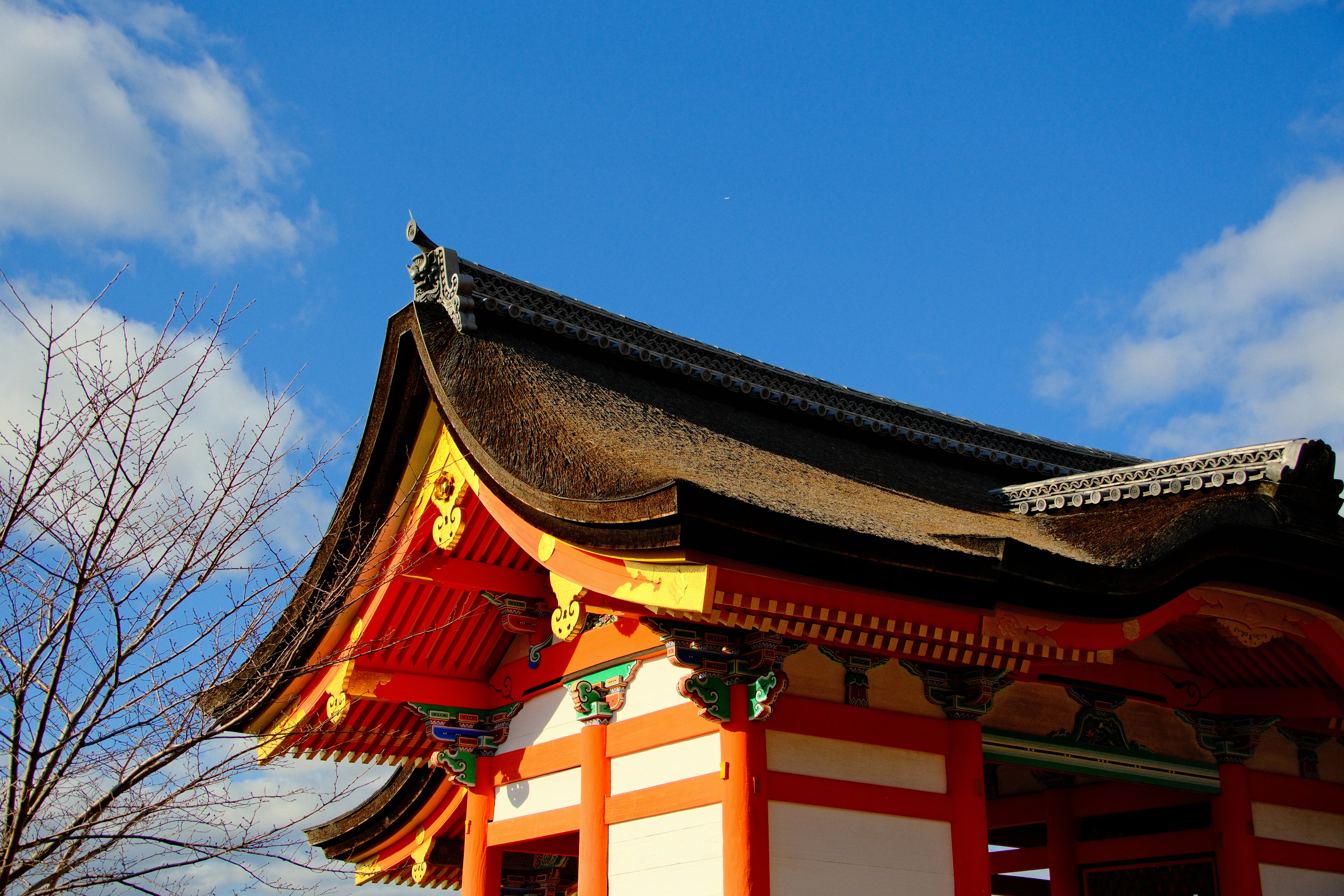 30mm · f/5.6 · 1/1500s · ISO 500
FUJIFILM X-T5 · 16-300mm F3.5-6.7 DC OS | Contemporary 025 · Jan 9, 2026
Ornate orange Shinto shrine with a dark thatched roof.
Kyoto, Japan
© Brandon Cook