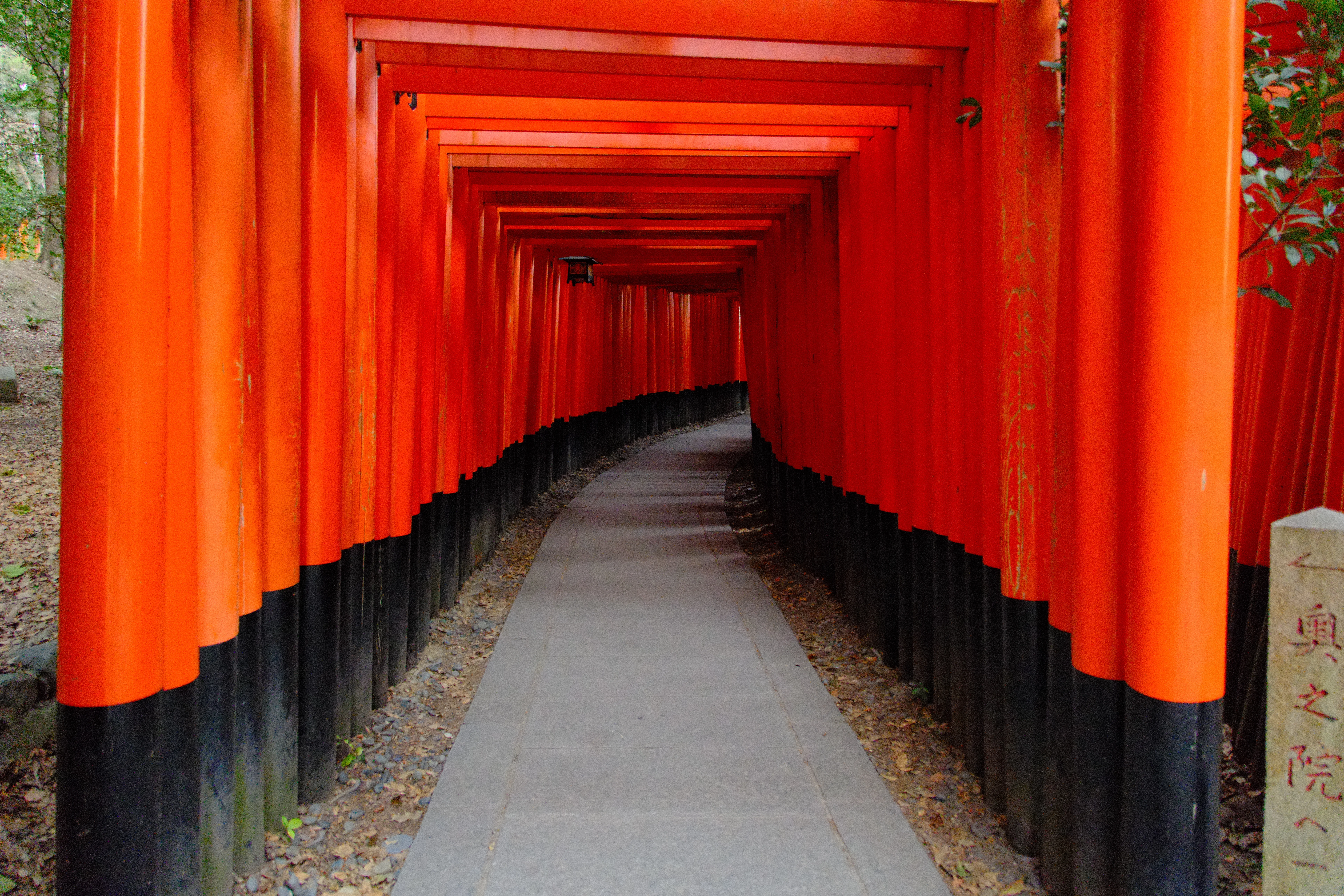 16mm · f/3.5 · 1/90s · ISO 12800
FUJIFILM X-T5 · 16-300mm F3.5-6.7 DC OS | Contemporary 025 · Jan 10, 2026
Vibrant orange torii gates lining a stone path in Kyoto.
Kyoto, Japan
© Brandon Cook